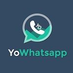 Icon YoWhatsApp APK  v9.81